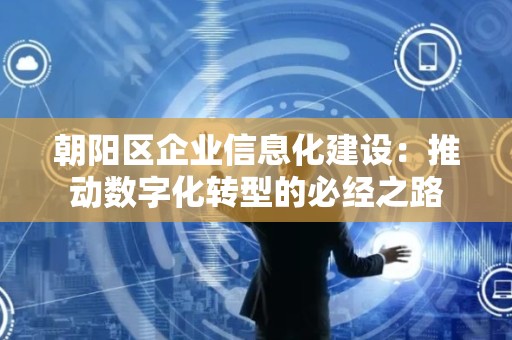 朝阳区企业信息化建设：推动数字化转型的必经之路