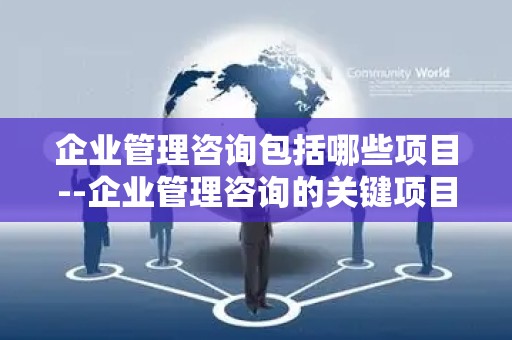 企业管理咨询包括哪些项目--企业管理咨询的关键项目与实践