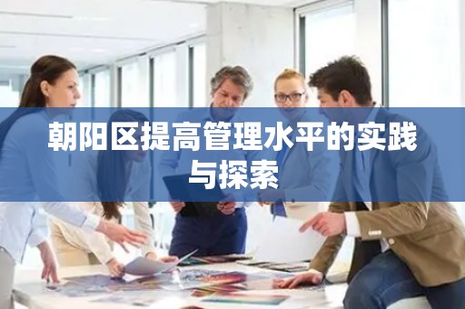 朝阳区提高管理水平的实践与探索