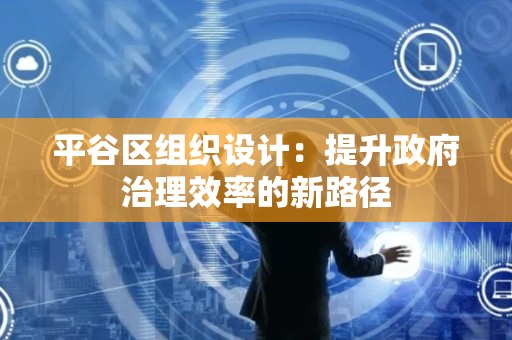 平谷区组织设计：提升政府治理效率的新路径