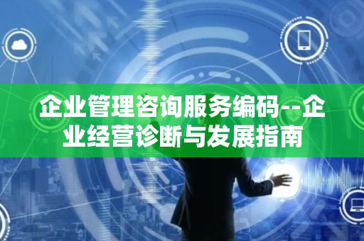 企业管理咨询服务编码--企业经营诊断与发展指南