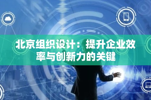 北京组织设计：提升企业效率与创新力的关键