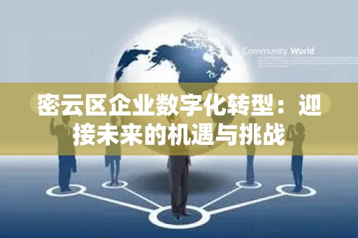 密云区企业数字化转型：迎接未来的机遇与挑战