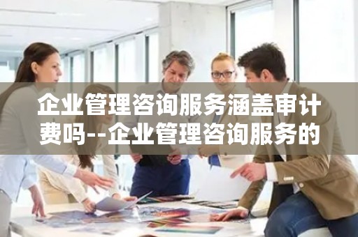 企业管理咨询服务涵盖审计费吗--企业管理咨询服务的全方位解析