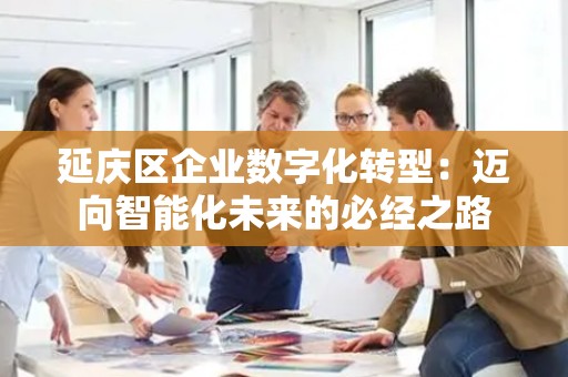 延庆区企业数字化转型：迈向智能化未来的必经之路