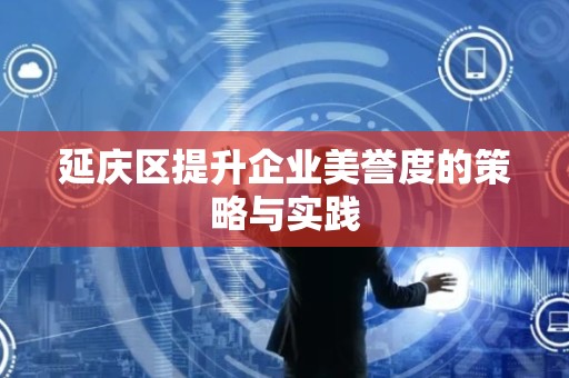 延庆区提升企业美誉度的策略与实践