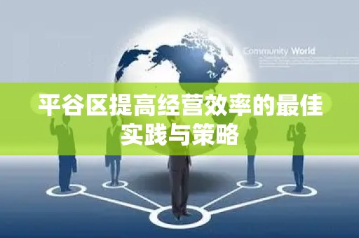 平谷区提高经营效率的最佳实践与策略