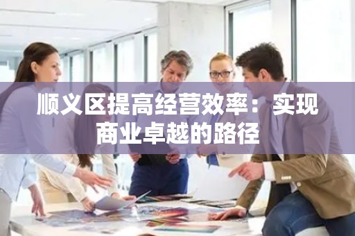 顺义区提高经营效率：实现商业卓越的路径