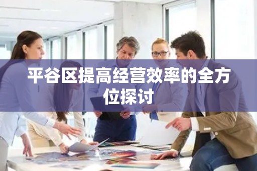 平谷区提高经营效率的全方位探讨