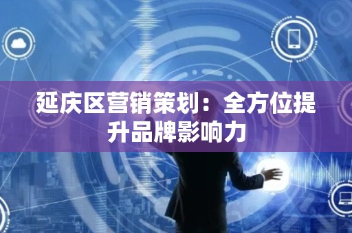 延庆区营销策划：全方位提升品牌影响力