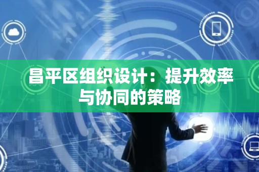 昌平区组织设计：提升效率与协同的策略
