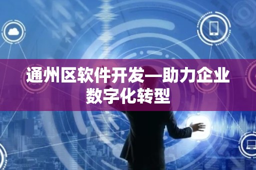 通州区软件开发—助力企业数字化转型