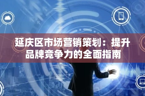 延庆区市场营销策划：提升品牌竞争力的全面指南