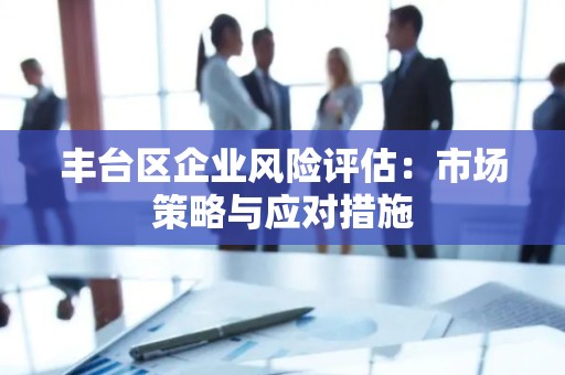 丰台区企业风险评估：市场策略与应对措施