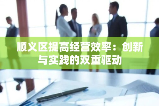 顺义区提高经营效率：创新与实践的双重驱动