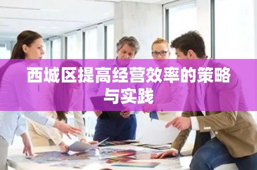 西城区提高经营效率的策略与实践