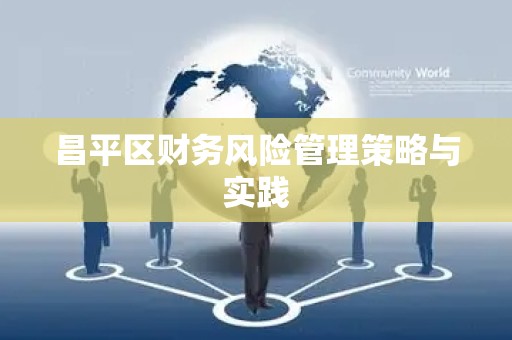 昌平区财务风险管理策略与实践