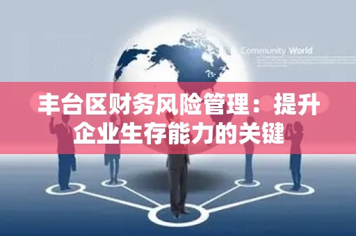 丰台区财务风险管理：提升企业生存能力的关键