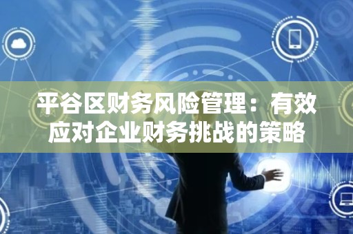 平谷区财务风险管理：有效应对企业财务挑战的策略