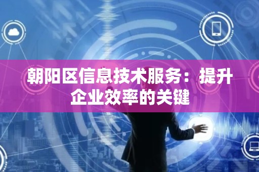 朝阳区信息技术服务：提升企业效率的关键
