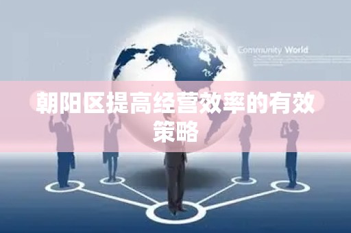 朝阳区提高经营效率的有效策略
