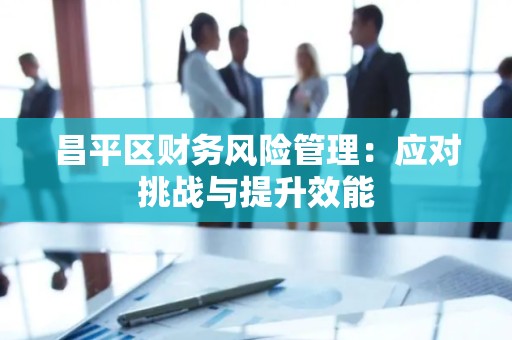 昌平区财务风险管理：应对挑战与提升效能