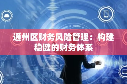 通州区财务风险管理：构建稳健的财务体系