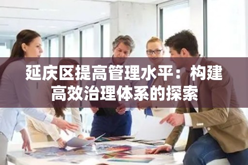 延庆区提高管理水平：构建高效治理体系的探索