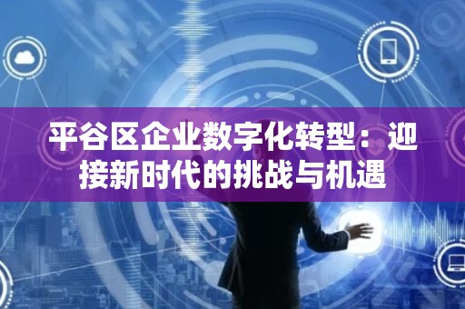 平谷区企业数字化转型：迎接新时代的挑战与机遇