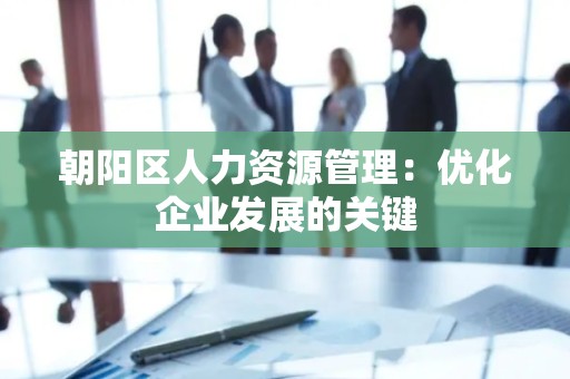 朝阳区人力资源管理：优化企业发展的关键