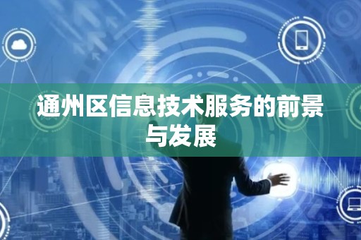 通州区信息技术服务的前景与发展