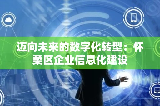 迈向未来的数字化转型：怀柔区企业信息化建设