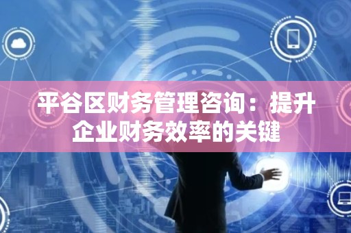 平谷区财务管理咨询：提升企业财务效率的关键