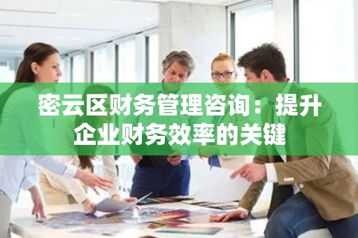 密云区财务管理咨询：提升企业财务效率的关键