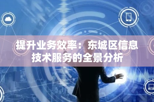 提升业务效率：怀柔区信息技术服务的全景分析