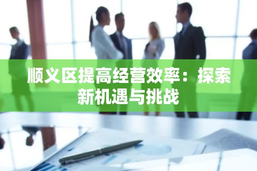顺义区提高经营效率：探索新机遇与挑战